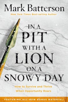 In a Pit with a Lion on a Snowy Day - Mi Baile Perfecto