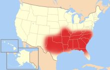 cinturon-biblico-mi-baile-perfecto