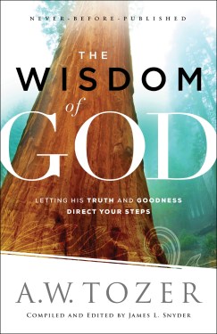The Wisdom of God - Natacha Ramos