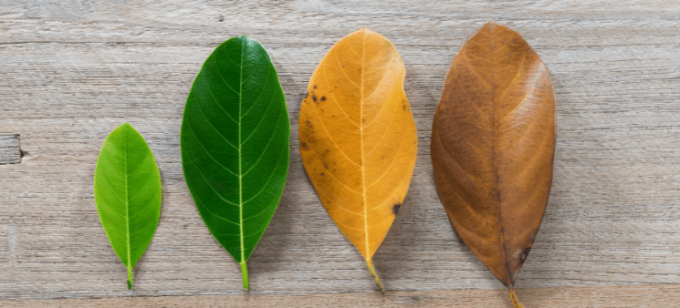 El verdadero secreto para&nbsp;cambiar