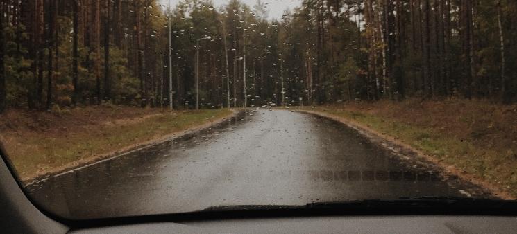 Lo eché a&nbsp;perder